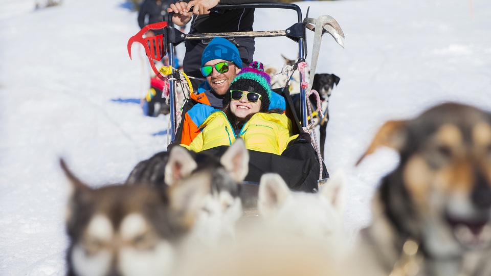 Grandvalira ofertas mushing Andorra