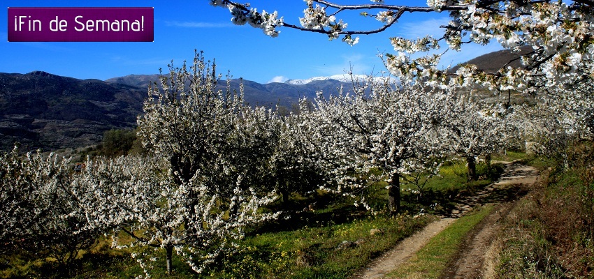 PLASENCIA (CÁCERES): 2 NOCHES EN 4* CON DESAYUNOS Y EXTRAS POR SÓLO 56,50€