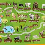 zoo safari fauna aventura hinojosa de san vicente Toledo entrada descuento