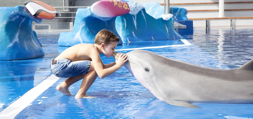 Marineland Mallorca oferta entradas al zoo marino & delfinario🐬 Costa d’en Blanes