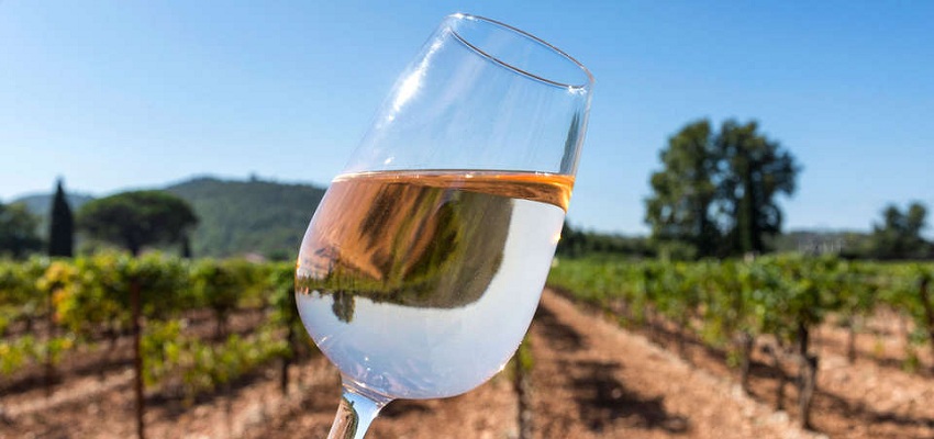 VALLS (TARRAGONA): ENOTURISMO EN LA TIERRA DEL VINO POR SÓLO 79€