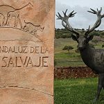 Centro Andaluz de la Fauna Salvaje