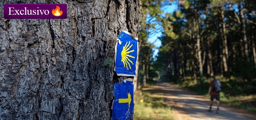 Camino de Santiago Portugués: 7 noches, credenciales, seguro y extras por 574€ 🥾🏞️