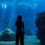 Oceanario de Lisboa (Oceanário de Lisboa)