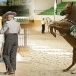 El Ranchito: Ritmo a Caballo & Andalusian Night