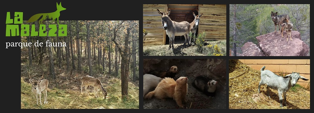 La Maleza - Parque de Fauna Sierra de Albarracín