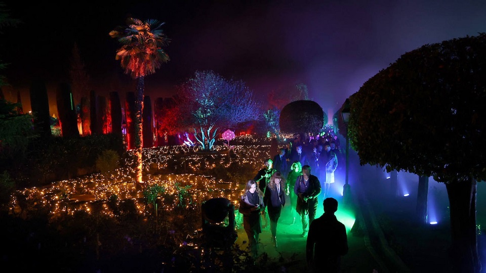 Naturaleza Encendida Raíces en Córdoba - Jardines del Alcázar de los Reyes Cristianos