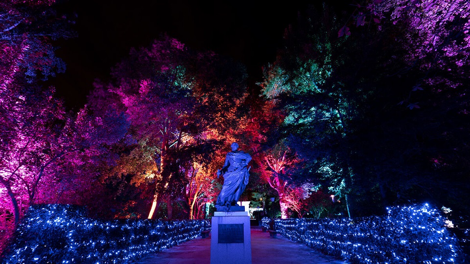 Naturaleza Encendida Raíces en Córdoba - Jardines del Alcázar de los Reyes Cristianos