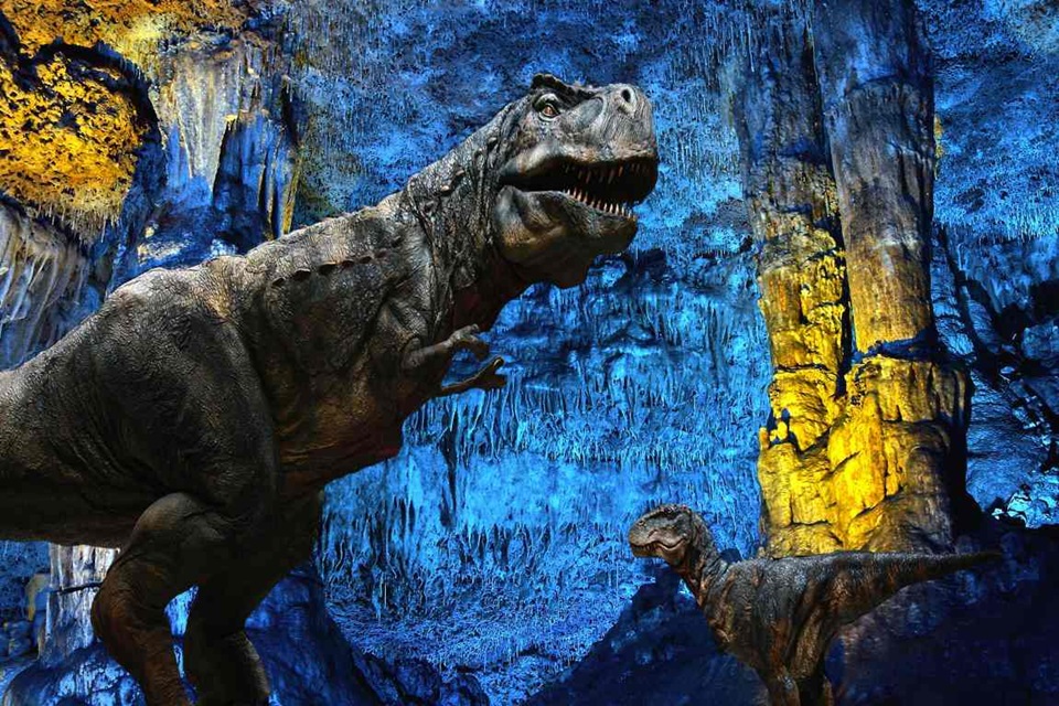 Cuevas dels Hams Mallorca Ofertas Dinos&Caves. Descuento Dinosaurlandia y Cuevas dels Hams ticket entrada. Ofertas 2x1 Cuevas dels Hams en Porto Cristo, Mallorca. Entradas Dinosaurios Mallorca Tour + Cuevas Hams.Cuevas dels Hams entradas mallorca.