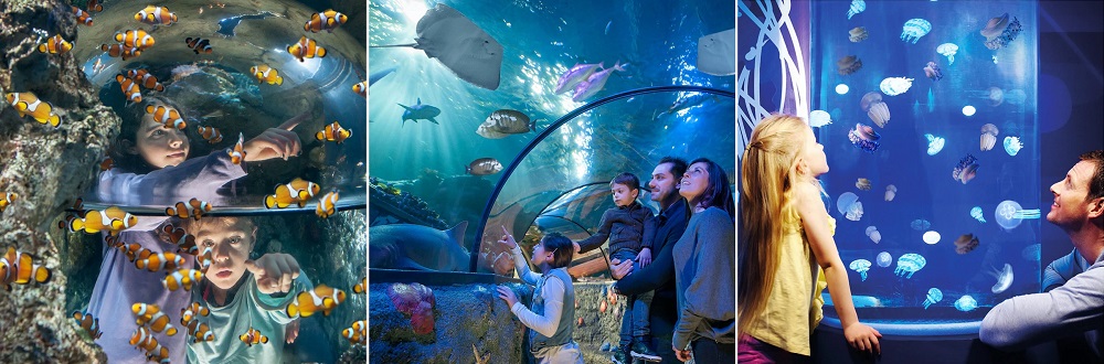 Acuario de Gardaland SEA LIFE