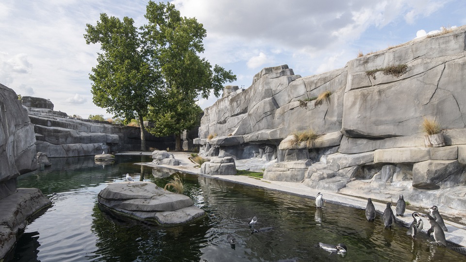 Parc Zoologique de Paris | Parque Zoológico de Bois de Vincennes