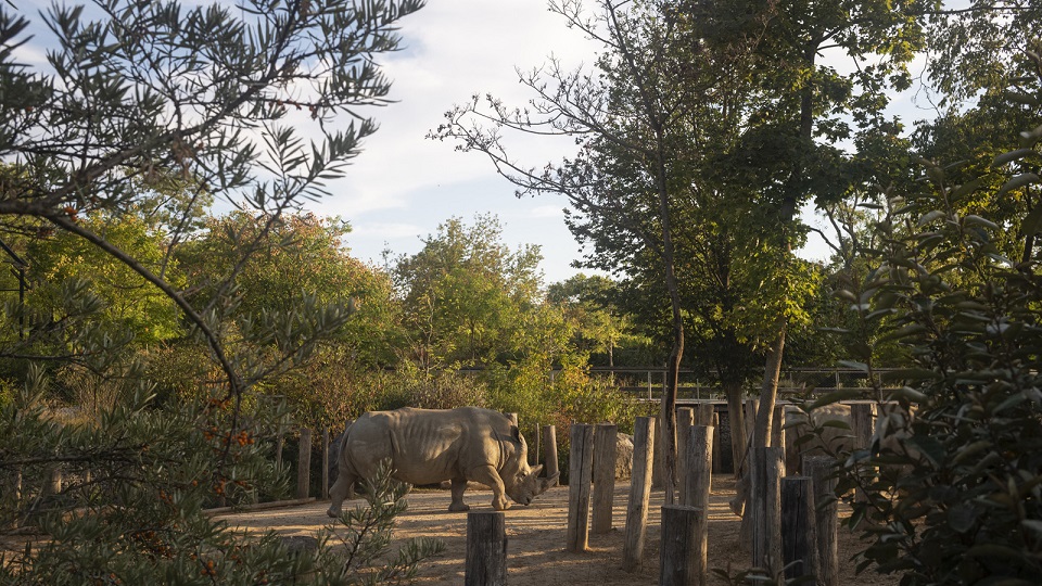 Parc Zoologique de Paris | Parque Zoológico de Bois de Vincennes