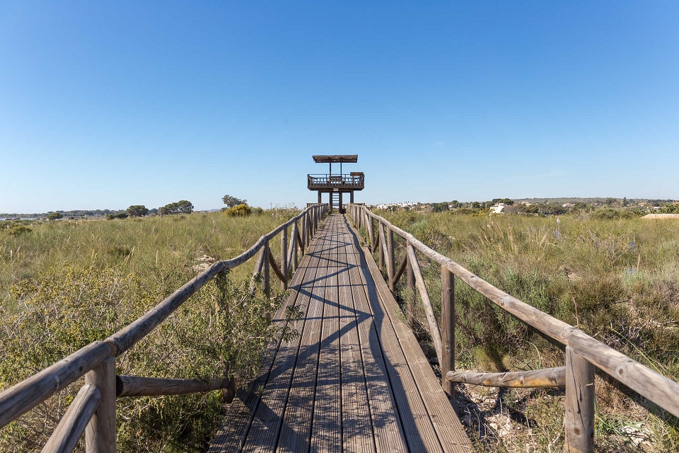 Parque Natural Salinas de Santa Pola 💦 🦩 Parcs Naturals Comunitat Valenciana