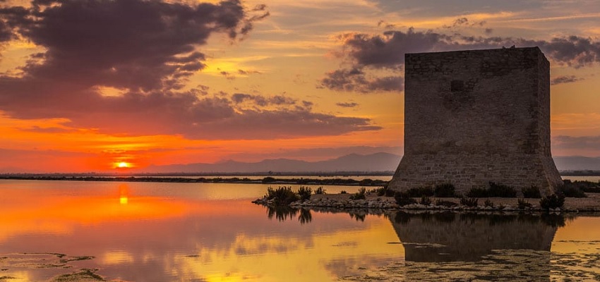 Visita al Parque Natural Salinas de Santa Pola 💦 🦩 Parcs Naturals Comunitat Valenciana