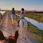 Paseos a caballo por el Delta del Ebro