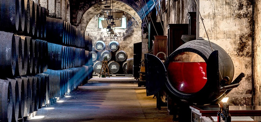 Descuento visita guiada Bodegas Osborne con cata incluida 🍷🔞 Cádiz