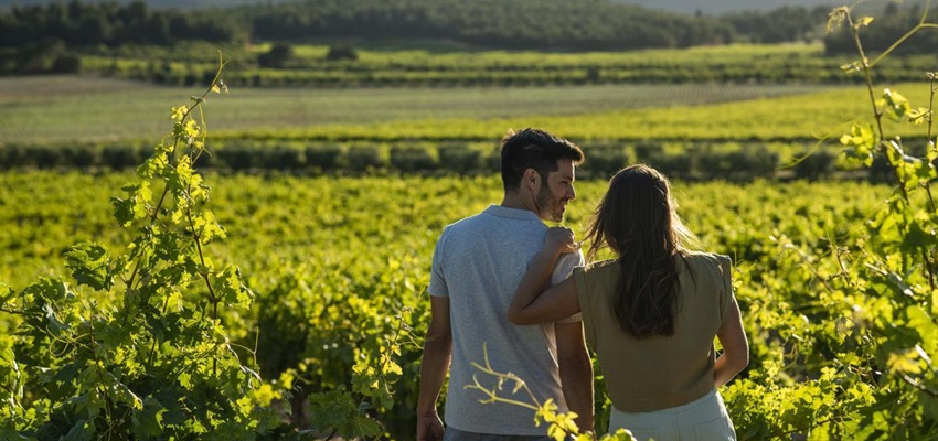 Catas de vinos en Valencia 🍷 Cata de vinos Utiel – Requena 🔞