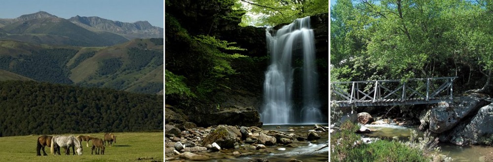 Posada Sierra de Ibio Descuentos Casa Rural en Cantabria 2024. Posada Sierra de Ibio alojamiento con descuento. Ofertas escapada en la reserva del Saja. Ofertas Posada Rural Sierra de Ibio cerca de Santander.