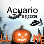 Disfruta de Halloween en el Acuario de Zaragoza. Vive Halloween en el Acuario de Zaragoza. Halloween en el Acuario de Zaragoza 2024. Los seres más aterradores y divertidos se han escapado de sus lúgubres escondites y se han escondido en el Acuario de Zaragoza. Acuario de Zaragoza 2x1 entradas Halloween los días 26 y 27 de octubre + 1, 2 y 3 de noviembre 2024.