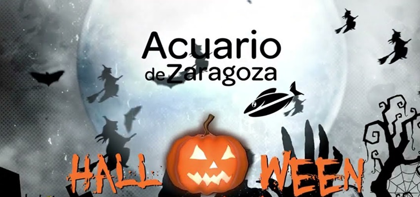 Acuario de Zaragoza entradas baratas ♒🐡