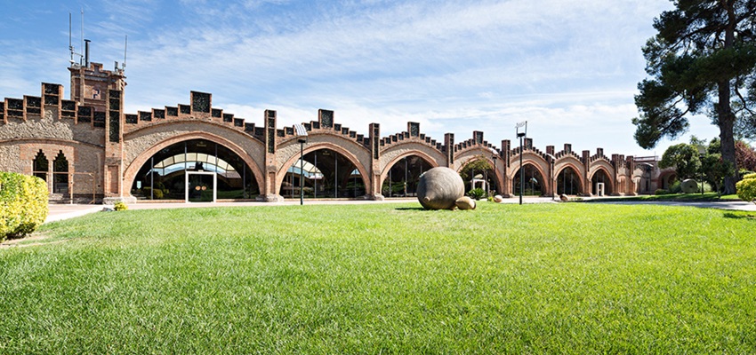 Bodegas Codorníu descuento visitas guiadas con degustación 🥂