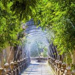 Visita Jardines de Alfabia en Mallorca descuento exclusivo. Jardines en Palma de Mallorca ofertas entradas 2x1 Jardines de Alfabia Mallorca. Descuentos ticket Jardines árabes y mágicos de Alfàbia cupón descuento Jardines de Alfabia como llegar oferta online Jardines de Mallorca. Promociones Jardines de Alfabia horario. Cupón descuento Jardines de Alfabia Palma de Mallorca código descuento Jardines de Alfabia fotos Jardins d'Alfàbia.